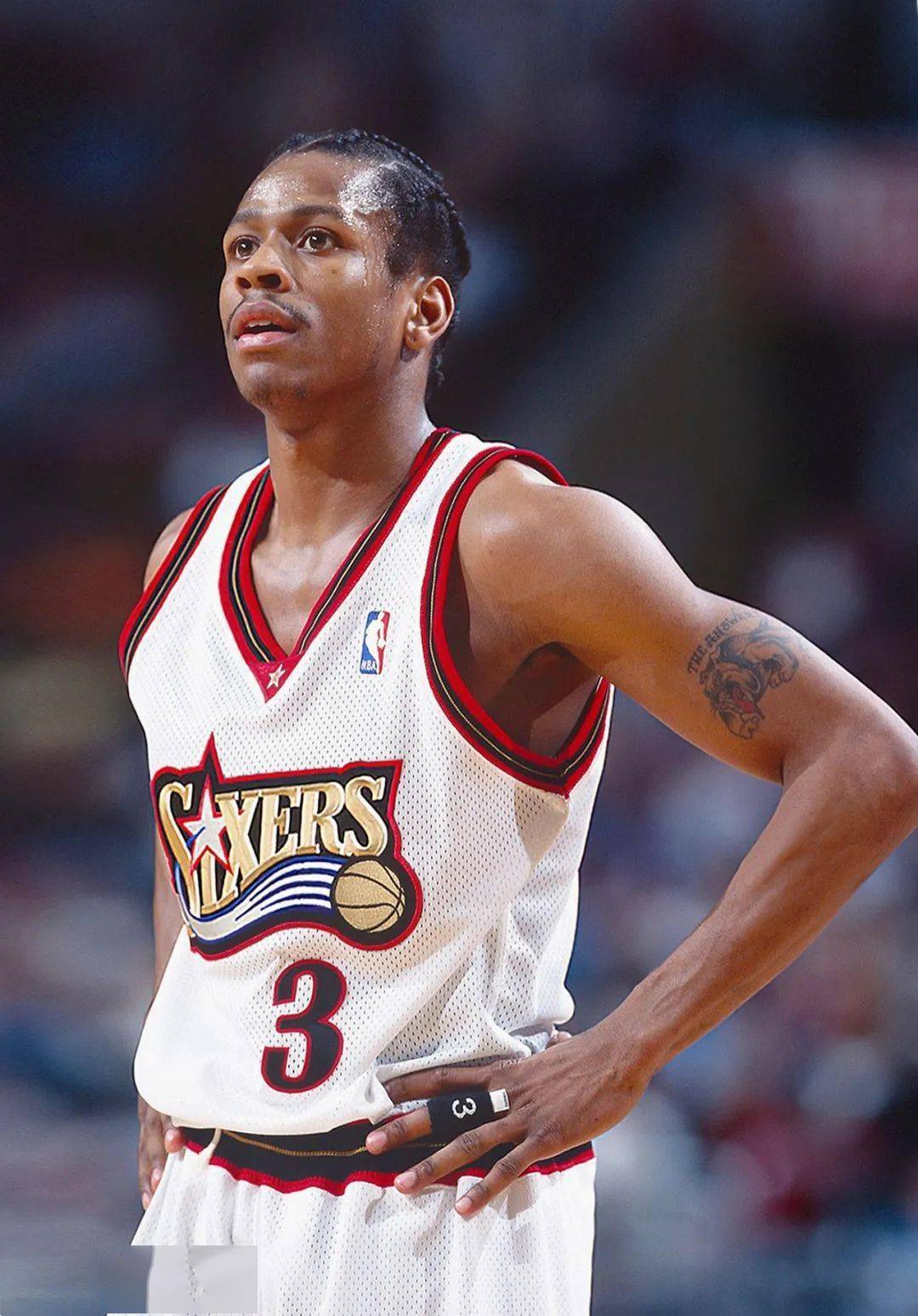 《猫咪斗恶龙III》开拓新领域！现已登陆 iPhone、iPad 和 Mac 平台